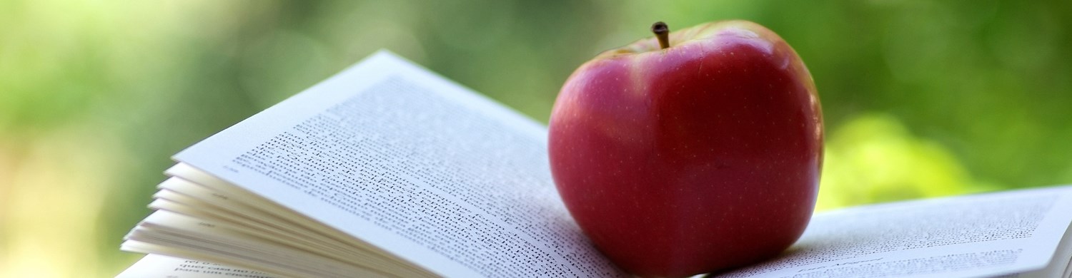 22586 Red Apple On A Book