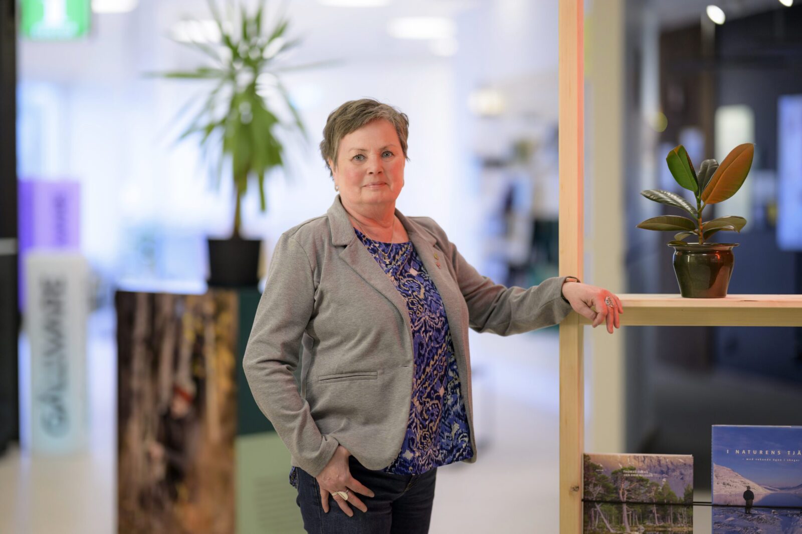 Birgitta Larsson ny ordförande för Norrbottens Kommuner